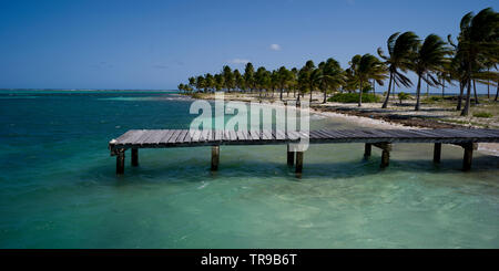 Pier und Palmen am Strand, Half Moon Caye, Lighthouse Reef Atoll, Belize Stockfoto