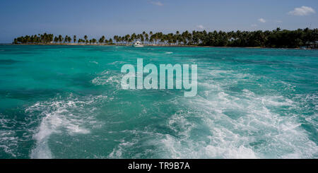 Kostenfreie Bildung im Meer mit Strand im Hintergrund, Half Moon Caye, Lighthouse Reef Atoll, Belize Stockfoto