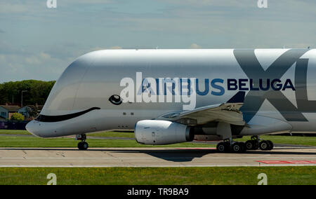 Airbus A 330-743 L Beluga XL2, F-WBXS auf Hawarden Airport Positionierung zum Abheben Stockfoto