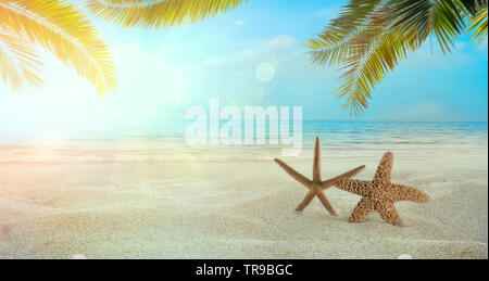 Strand Sommer Hintergrund. Sommerferien mit Sand, Stern Fisch und Palmblättern. Sandstrand Stockfoto