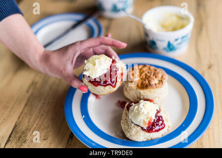 Ein traditionelles Devon und Cornish Cream Tea Stockfoto