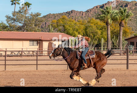 Wöchentliche Rodeo im White Stallion Ranch, eine Dude Ranch außerhalb von Tucson, AZ. Frau Reiter im Galopp. Stockfoto