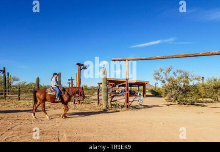 Gäste auf dem Rücken der Pferde kommen zum Frühstück im White Stallion Ranch, eine Dude Ranch außerhalb von Tucson, AZ. Stockfoto