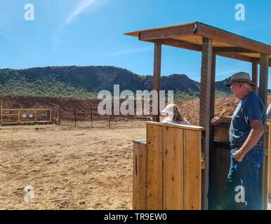 Schießen mit Gewehr und Six Shooter im White Stallion Ranch, eine Dude Ranch außerhalb von Tucson, AZ. Stockfoto