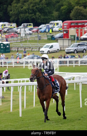 Epsom Downs Surrey, Großbritannien. 31. Mai, 2019. Frankie Dettori auf Rennen Sieger Anapurna, wie Sie Kopf zu Beginn der Investec Eichen auf Ladies Day 2019. Credit: Julia Gavin/Alamy leben Nachrichten Stockfoto