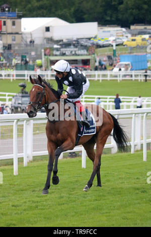 Epsom Downs Surrey, Großbritannien. 31. Mai, 2019. Frankie Dettori auf Rennen Sieger Anapurna Kopf zu Beginn der Investec Eichen auf Ladies Day 2019. Credit: Julia Gavin/Alamy leben Nachrichten Stockfoto