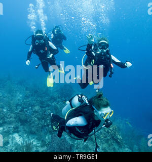Taucher unterwasser, Secret Spot, Turneffe Atoll, Belize Barrier Reef, Belize Stockfoto