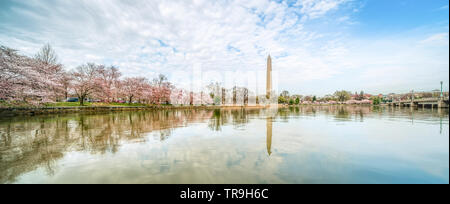Washington Monument und Kirschblüten im Wasser in Washington, DC, USA wider. Stockfoto