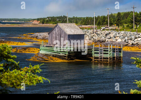 Steg am blauen Felsen, Nova Scotia, Kanada Stockfoto