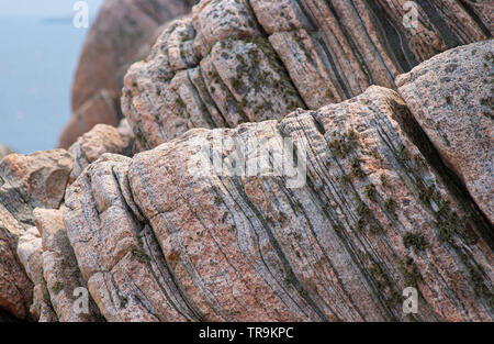 Grau und Rosa Gneis metamorphes Gestein. Stockfoto