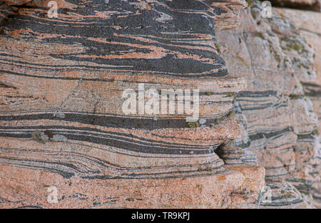 Grau und Rosa Gneis metamorphes Gestein. Stockfoto