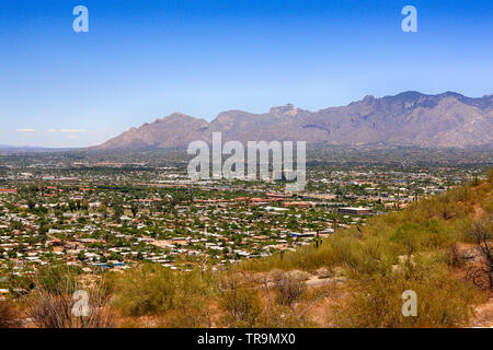 Anzeigen von Tucson AZ in verschiedenen Richtungen von oben aus 'A' Berg Sentinel Peak Park Stockfoto