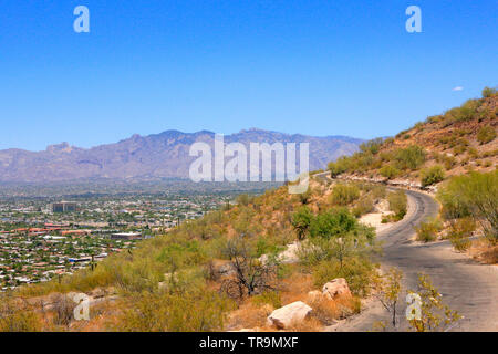 Anzeigen von Tucson AZ in verschiedenen Richtungen von oben aus 'A' Berg Sentinel Peak Park Stockfoto