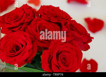 Red rose flower bouquet in einer Tabelle zum Valentinstag Stockfoto
