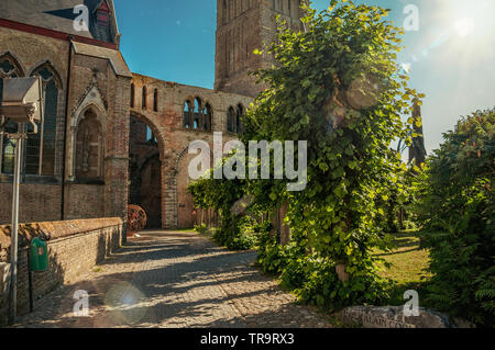 Weg mit Bäumen im Garten der mittelalterlichen Kirche Ruinen, am späten Nachmittag in Damme. Ein kleines und charmantes altes Dorf in Belgien Landschaft. Stockfoto