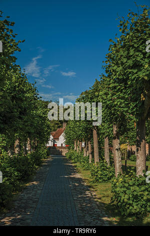 Weg mit Bäumen im Garten der mittelalterlichen Kirche Ruinen, am späten Nachmittag Licht in Damme. Ein kleines und charmantes altes Dorf in Belgien Landschaft. Stockfoto