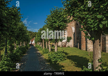 Weg mit Bäumen im Garten der mittelalterlichen Kirche Ruinen, am späten Nachmittag Licht in Damme. Ein kleines und charmantes altes Dorf in Belgien Landschaft. Stockfoto