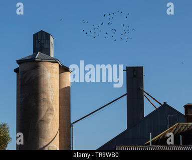 Silo Art Trail, Victoria Australien. Verschiedene Weizensilos, auf denen Wandmalereien von führenden Künstlern gemalt wurden, sind zu touristischen Attraktionen geworden. Stockfoto