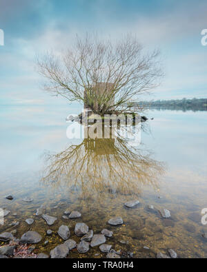 Ein wildfowler am Morgen's Point am Ufer des Lough Neagh, County Armagh, Nordirland verstecken. Stockfoto