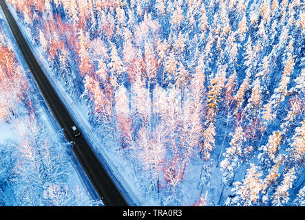 Luftaufnahme von einem Auto auf Winter Straße in den Wald. Winter Landschaft Landschaft. Luftaufnahmen von verschneiten Wald mit einem Auto auf der Straße. Erfasst f Stockfoto