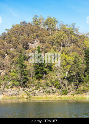 Erste Becken in Cataract Gorge, im unteren Teil des South Esk River in Launceston, Tasmanien, Australien. Stockfoto