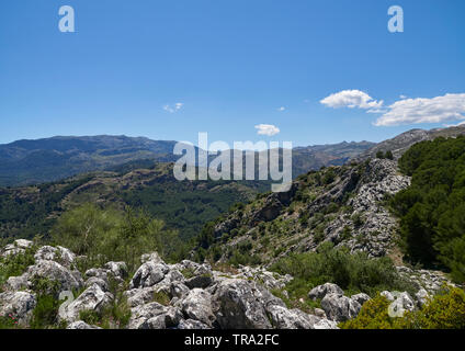 Blick nach Norden vom Mirador del Guarda Forestal in der Sierra de las Nieves Naturpark in Andalusien, Spanien in den Monat April. Stockfoto