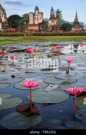 Wunderschöne Lotus Flower See mit Buddha Statue im Hintergrund Sukhothai Historical Park im Norden von Thailand. Alte buddhistische Tempel Stockfoto