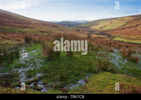 Der Westen Webburn River Valley von Hookney, Dartmoor, Devon: Des sumpfigen Grimmige See im Vordergrund. Stockfoto