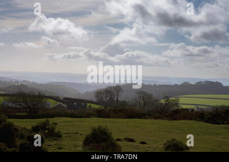 Blick von oben nach unten über den Bittleford Webburn Tal, in der Nähe von Widecomble-in-the-Moor, Dartmoor, Devon, England Stockfoto