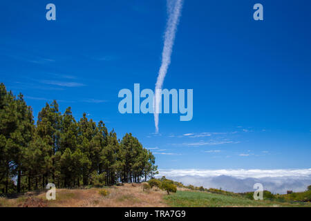 Im Zentrum von Gran Canaria, Las Cumbres, höchste Gegenden der Insel, Blick Richtung Panza de Burro, Esel Bauch, Wolkenbedeckung fast immer ein Stockfoto