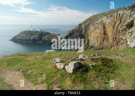 South Stack Lighthouse - Anglesey, Wales, Großbritannien Stockfoto