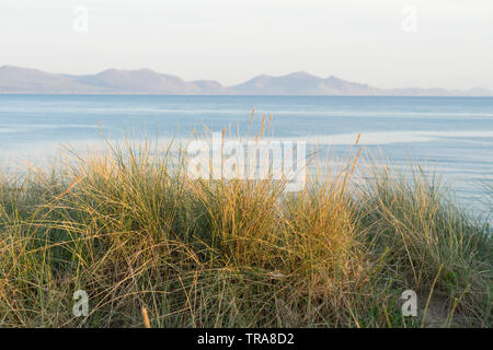 Abend auf Ynys Llanddwyn Beach nach Llyn Halbinsel - Anglesey, Wales, Großbritannien Stockfoto