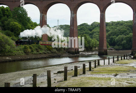 Dampflokomotive SR Schulen Klasse Nr. 926 Repton, gehen unter Viadukt zwischen Whitby und Ruswarp. Datum 2. Juni 2019 Stockfoto