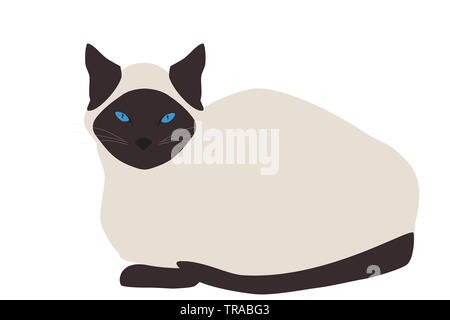 Siamesische Katze auf weißem Hintergrund. Thai kitty Symbol Stockfoto