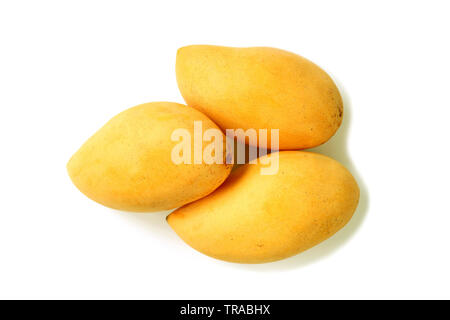 Drei Frische reife Mango ganze Früchte isoliert auf weißem Hintergrund Stockfoto