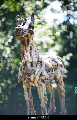Tolles Stück Kunst aus alten Zweigen, ein Pferd stehend in einem Feld im Sommer Sonnenschein erstellt Stockfoto