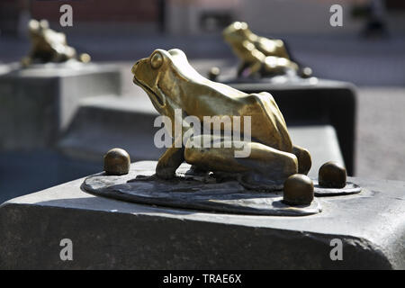 Frosch im Brunnen (Pomnik Raftsman flisaka) in Torun. Polen Stockfoto