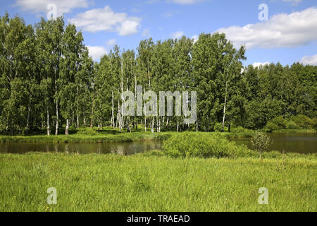 Gzhat River in der Nähe von Gagarin. Smolensk. Russland Stockfoto