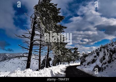 Verschneite Parnitha Mt., Athen, Griechenland Stockfoto