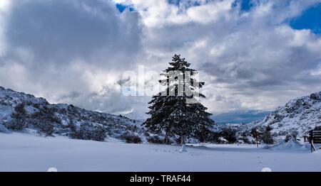 Verschneite Parnitha Mt., Athen, Griechenland Stockfoto