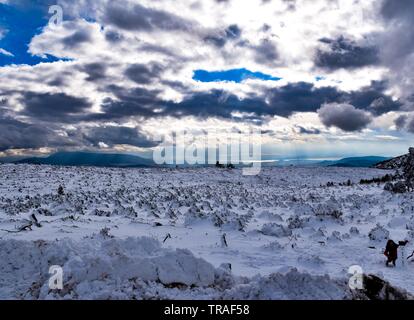 Verschneite Parnitha Mt., Athen, Griechenland Stockfoto