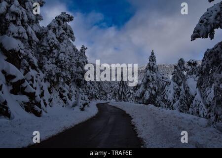 Verschneite Parnitha Mt., Athen, Griechenland Stockfoto