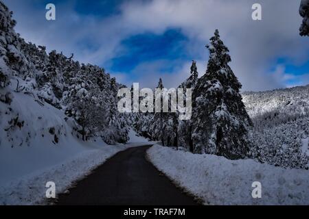 Verschneite Parnitha Mt., Athen, Griechenland Stockfoto