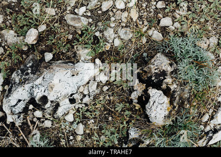 Dunkle detaillierte grauen Stein Hintergrund schliessen. Stockfoto