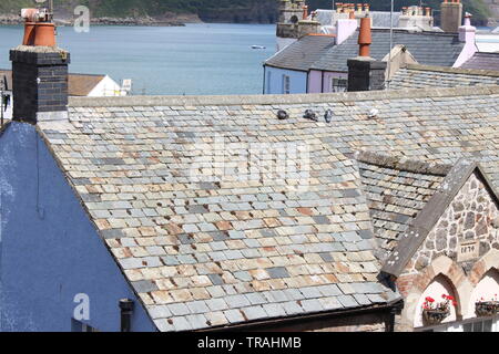 Ein Foto von der Schiefer Dach eines Gebäudes in Tenby, Pembrokeshire, Wales, UK. Natürliche Waliser Baustoff. Tenby Hafen im Hintergrund. Stockfoto