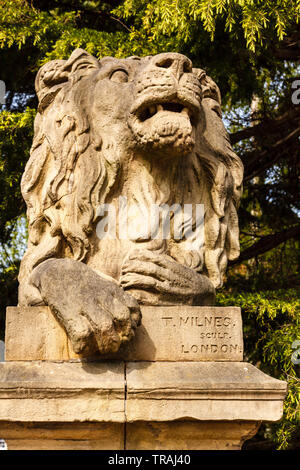 Bestimmung, einer der beiden Löwen Skulptur außerhalb der Fabrik Schule in Saltaire, Bradford, West Yorkshire Stockfoto