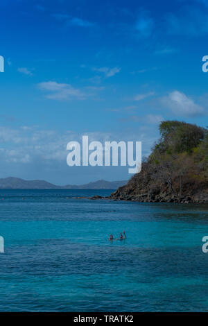 Schnorcheln vom Dock im Cotton House auf der Insel Mustique Stockfoto