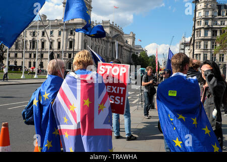 Rückansicht des Protests in der Straße außerhalb der Häuser des Parlaments tragen Union Jack & Europäische Union Flaggen & Stop Brexit Chaos London UK KATHY DEWITT Stockfoto