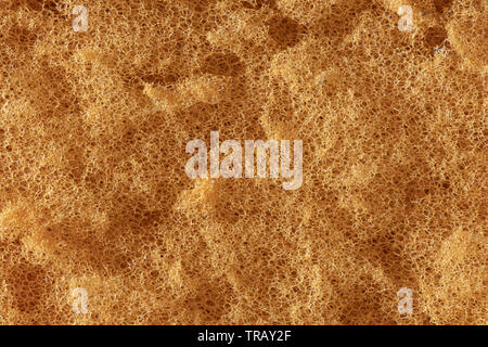 Makro Bild des orange Textur eines großen Reinigungsschwamm Stockfoto