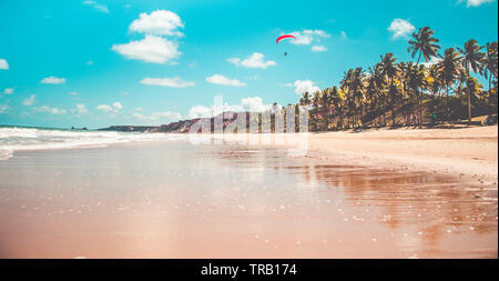 Gleitschirmfliegen in den Himmel. Gleitschirm über den Strand in hellen, sonnigen Tag fliegen in Coqueirinho's Beach, Brasilien Stockfoto